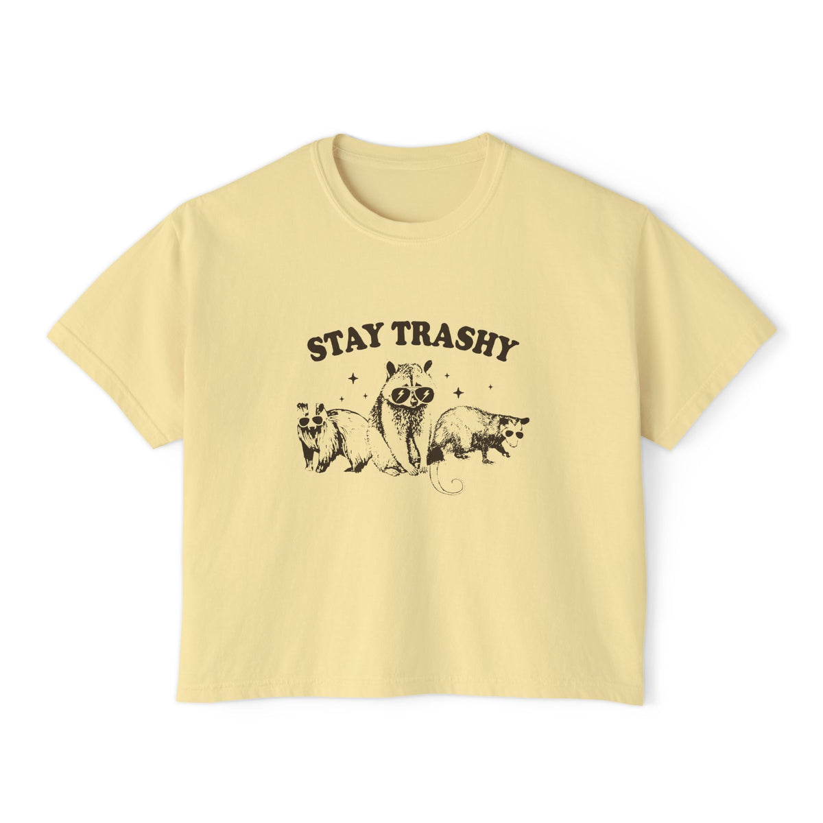 Stay Trashy Women's Boxy Tee - Fun & Casual Eco-Friendly Shirt